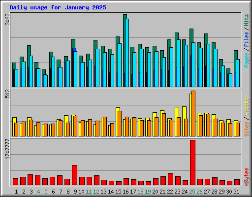 Daily usage for January 2025