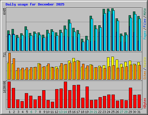 Daily usage for December 2025