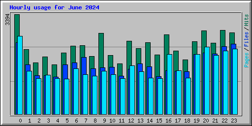 Hourly usage for June 2024