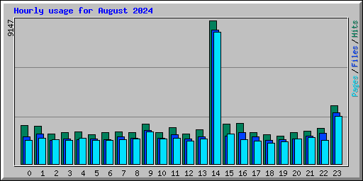 Hourly usage for August 2024