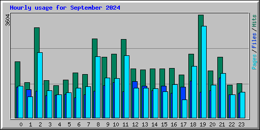 Hourly usage for September 2024