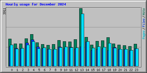 Hourly usage for December 2024