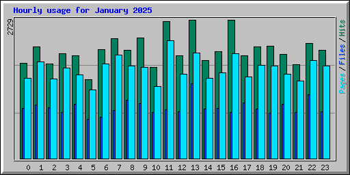 Hourly usage for January 2025