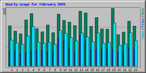 Hourly usage for February 2025