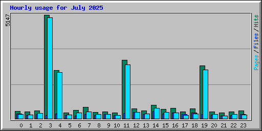 Hourly usage for July 2025