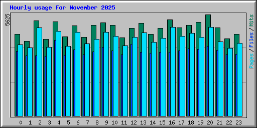 Hourly usage for November 2025