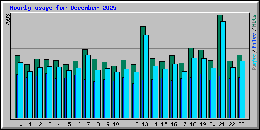 Hourly usage for December 2025