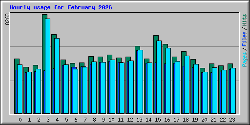 Hourly usage for February 2026