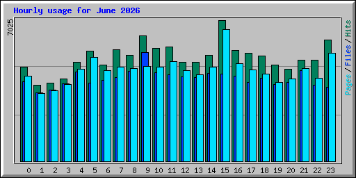 Hourly usage for June 2026