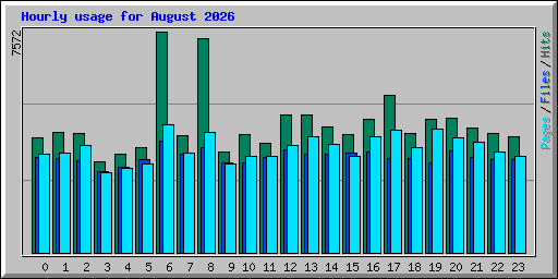 Hourly usage for August 2026
